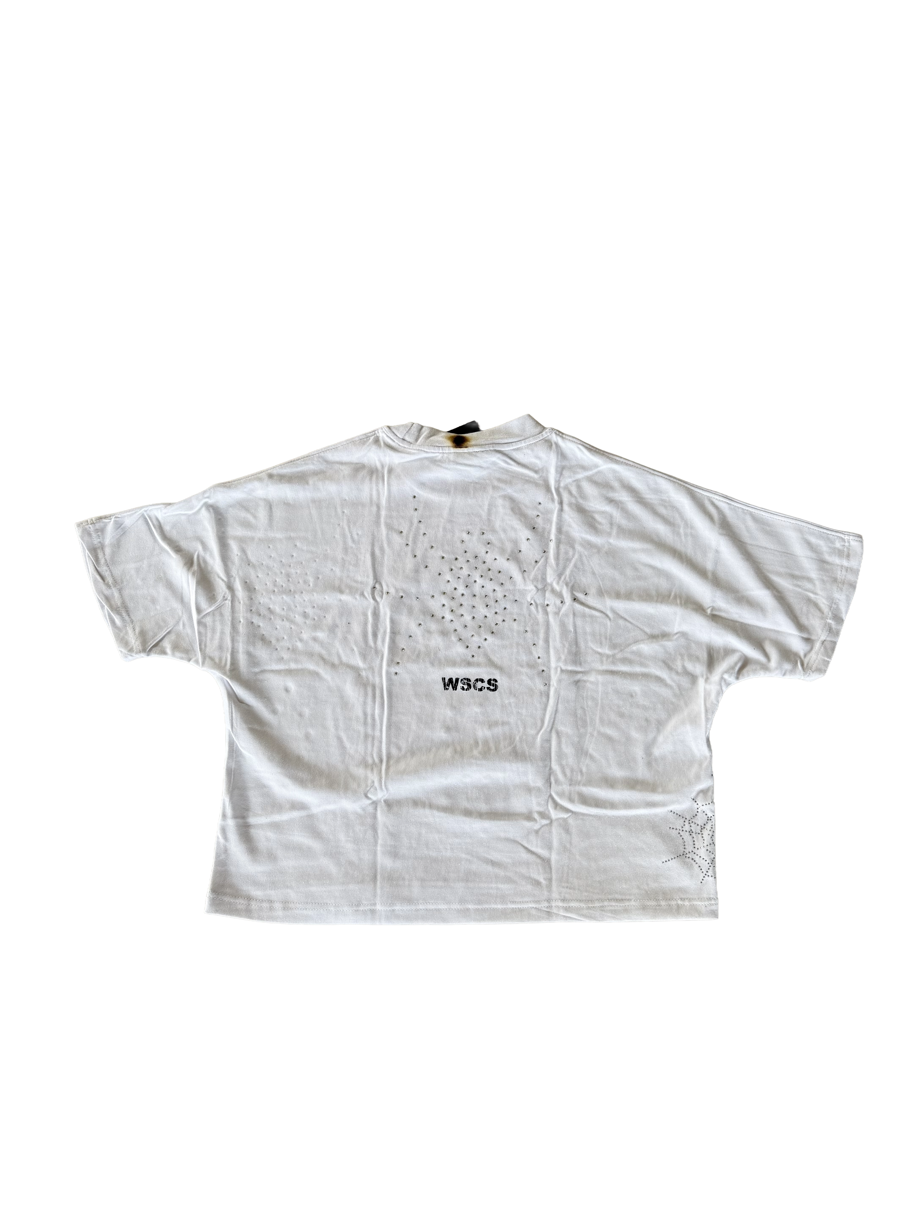 WSCS “Burn Whole T” Cropped Box Fit